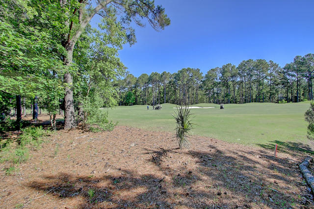 1817 Shell Ring Circle Mount Pleasant, SC 29466 - Photo 50 of 51 1817 Shell Ring (5)0005