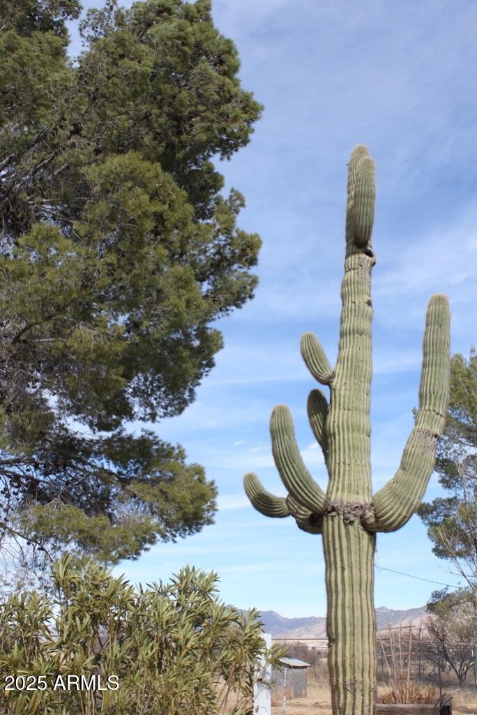 28401 South Rain Valley Road Elgin, AZ 85611 - Photo 36 of 58 IMG_9163
