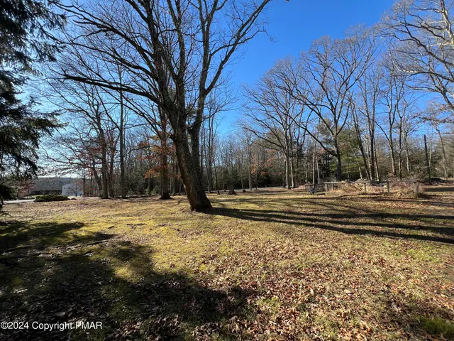 a view of dirt yard with large trees