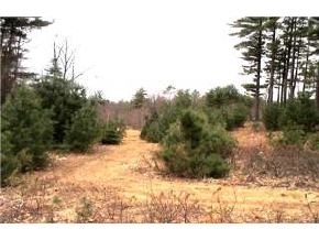 9-45-1 Towle Road Chester, NH 03036 - Photo 1 of 6