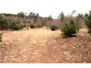 9-45-1 Towle Road Chester, NH 03036 - Photo 3 of 6