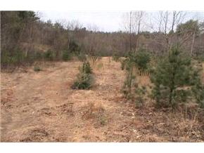 9-45-1 Towle Road Chester, NH 03036 - Photo 4 of 6