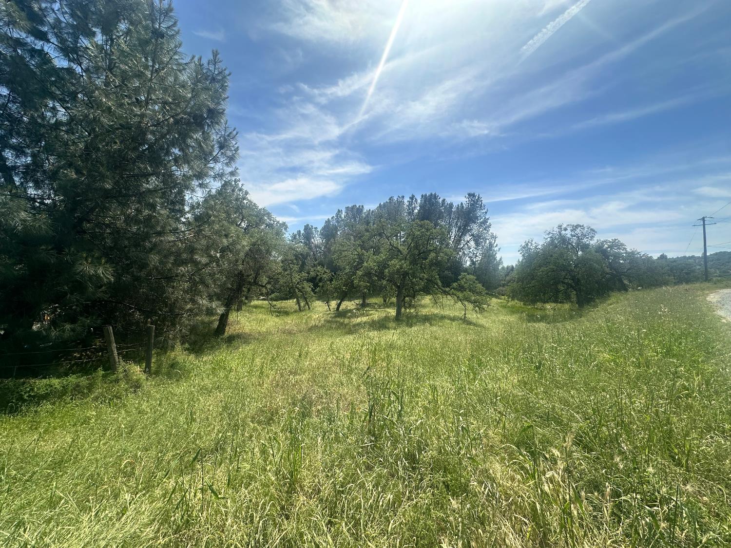 4069 Parrotts Ferry Road Vallecito, CA 95251 - Photo 18 of 32 Gallery Image 18