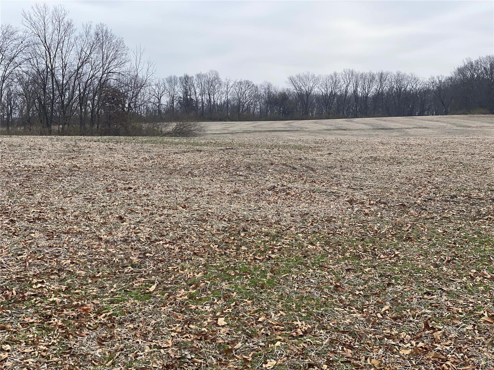 30 Elm Tree Road Moscow Mills, MO 63362 - Photo 1 of 3