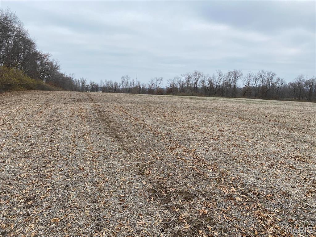 30 Elm Tree Road Moscow Mills, MO 63362 - Photo 2 of 3