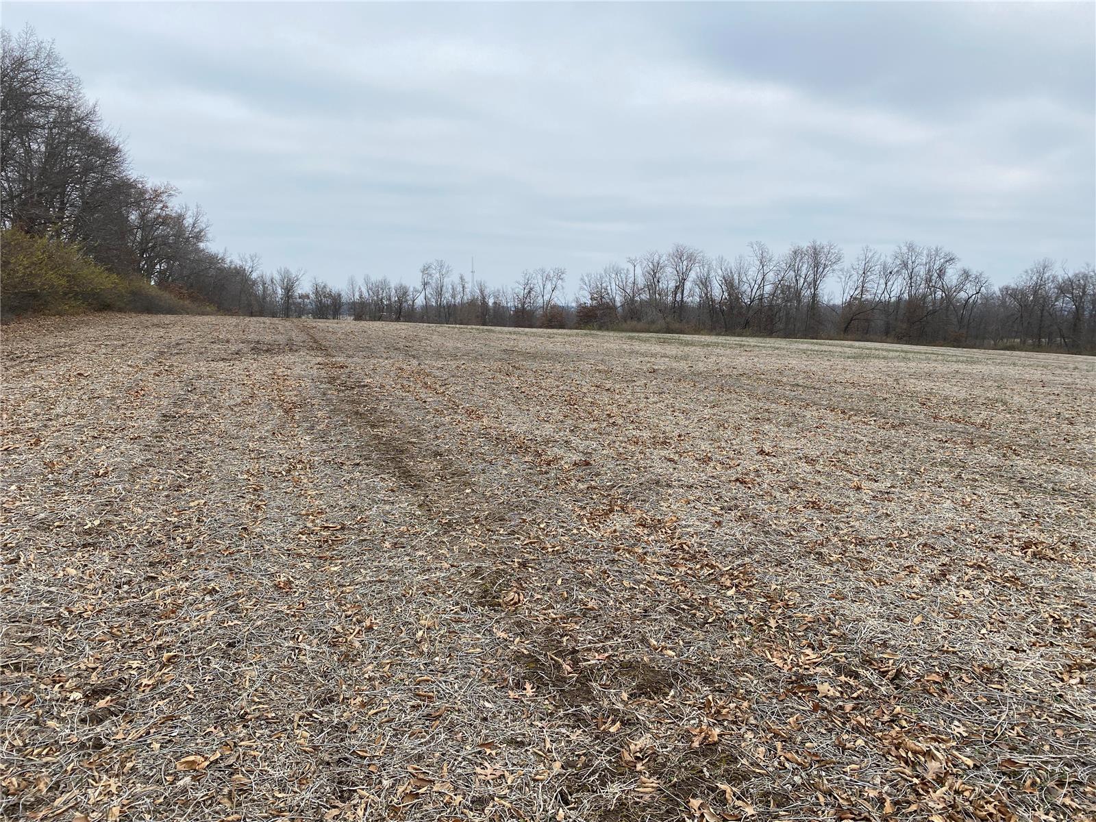 30 Elm Tree Road Moscow Mills, MO 63362 - Photo 2 of 3