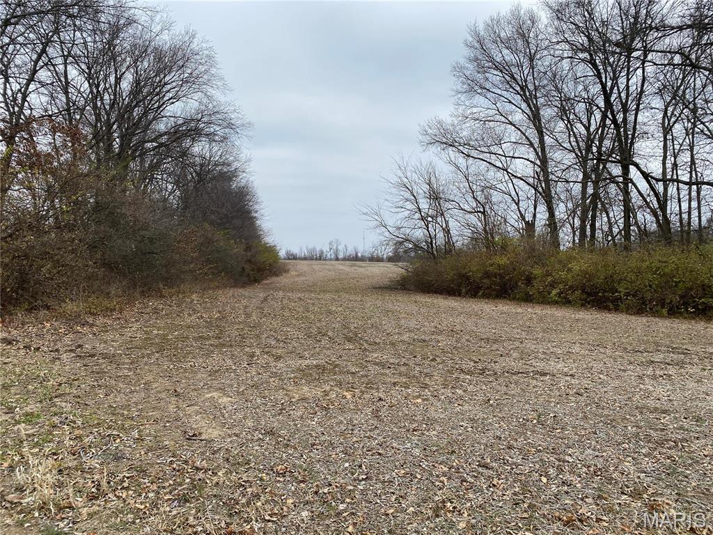 30 Elm Tree Road Moscow Mills, MO 63362 - Photo 3 of 3