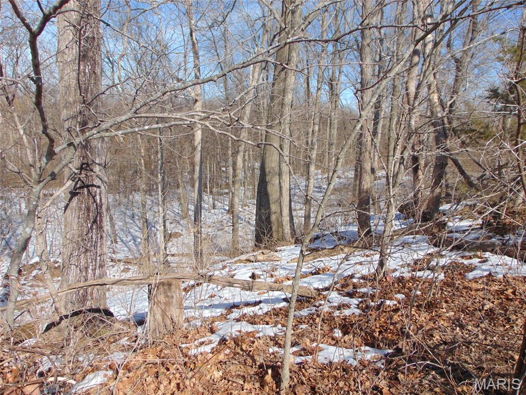 4801 Beaucoup Road Ava, IL 62907 - Photo 8 of 16