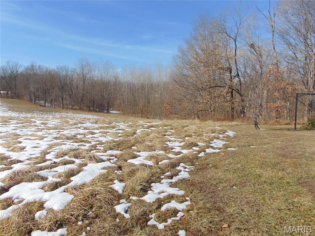 4801 Beaucoup Road Ava, IL 62907 - Photo 9 of 16