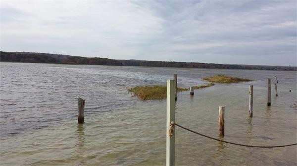 110 Salt Marsh Road Sandwich, MA 02537 - Photo 25 of 29 Gallery Image 25