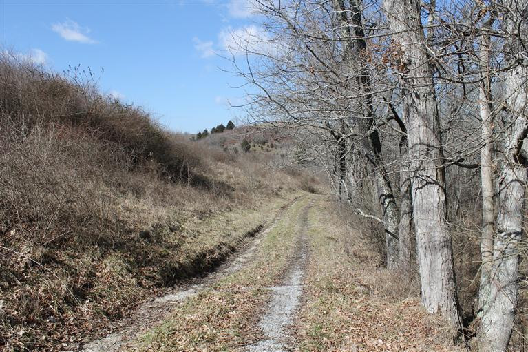 1 Nina Ridge Road Lancaster, KY 40444 - Photo 9 of 56 Photo 9