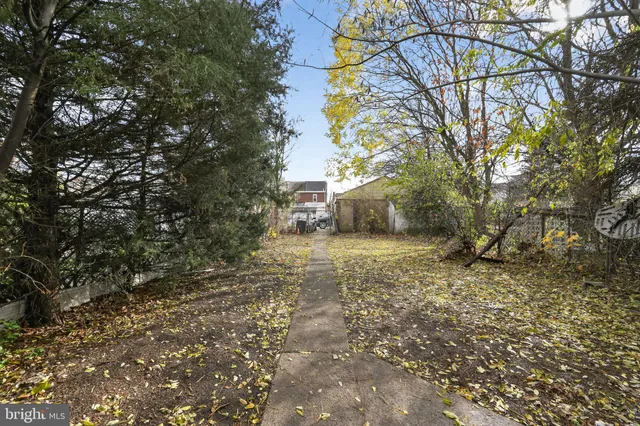 a view of a yard with plants and trees