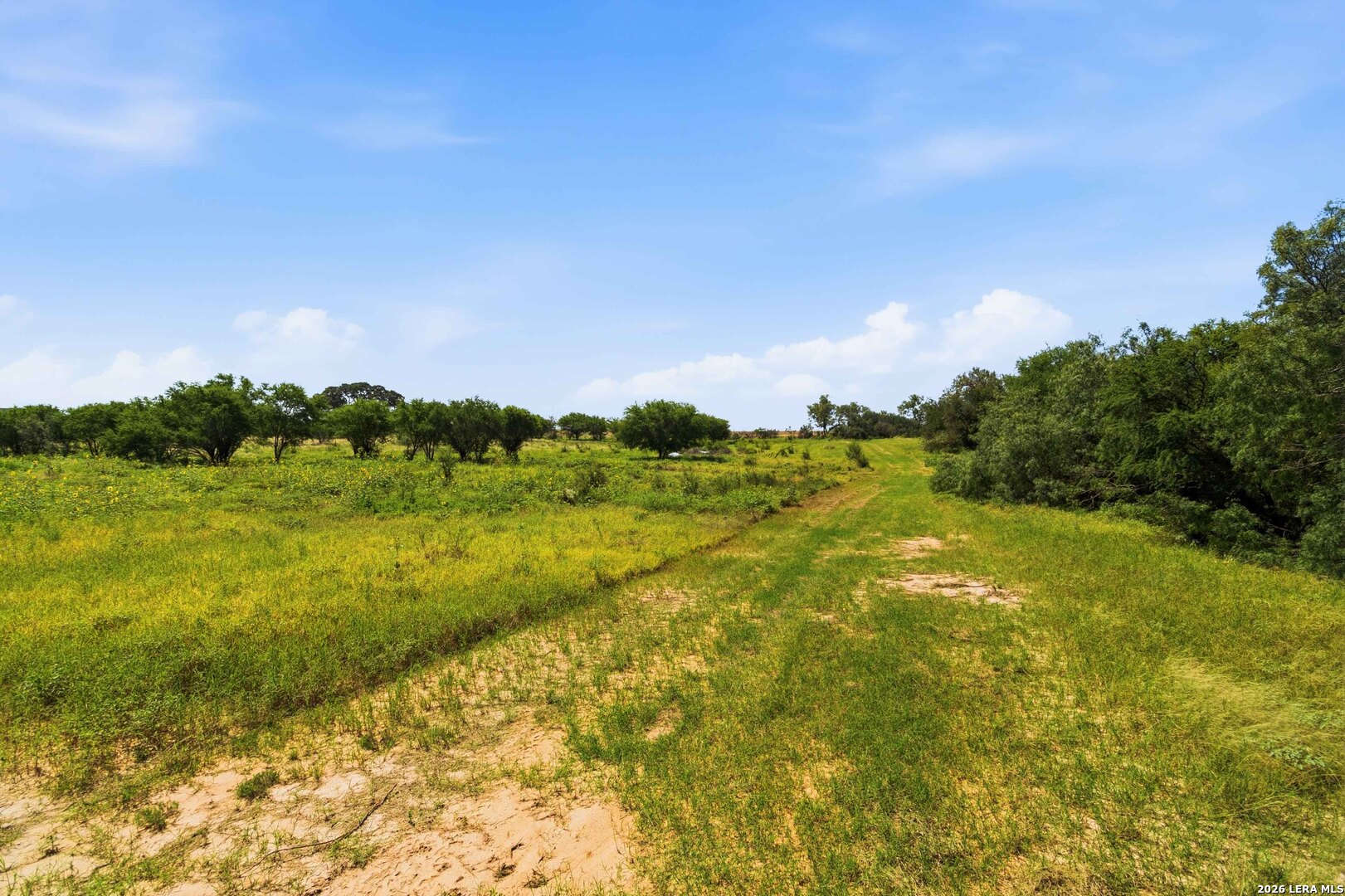 2194 South Ranch Rd 187 Sabinal, TX 78881 - Photo 46 of 89 Gallery Image 46