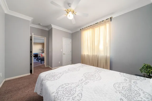 a view of a back yard