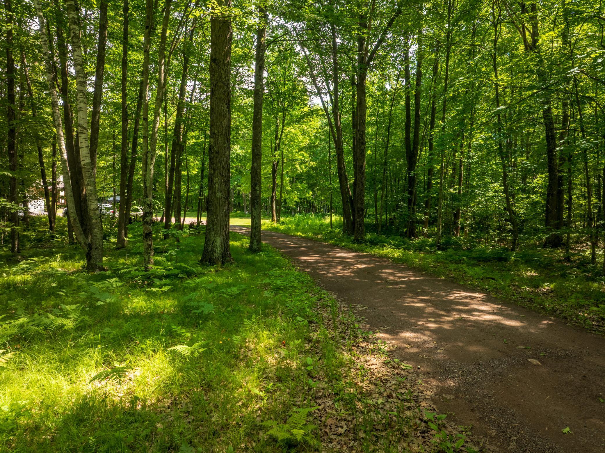 46254 Rutabaga Road Askov, MN 55704 - Photo 24 of 78
