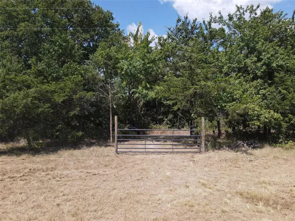 a view of a yard with plants and trees