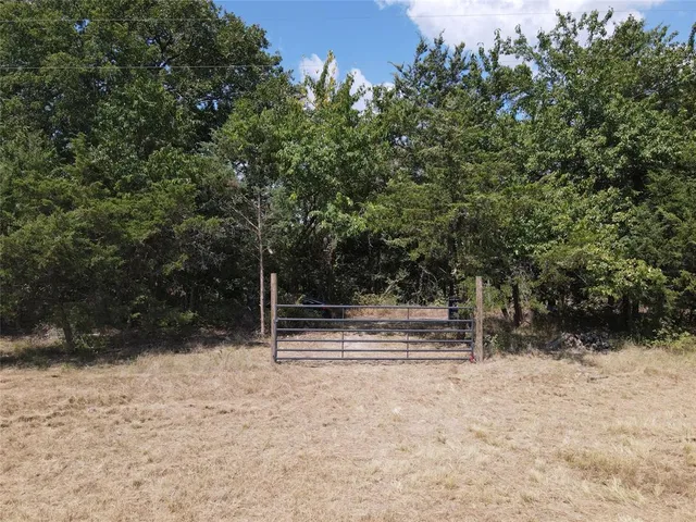 a view of a yard with plants and trees
