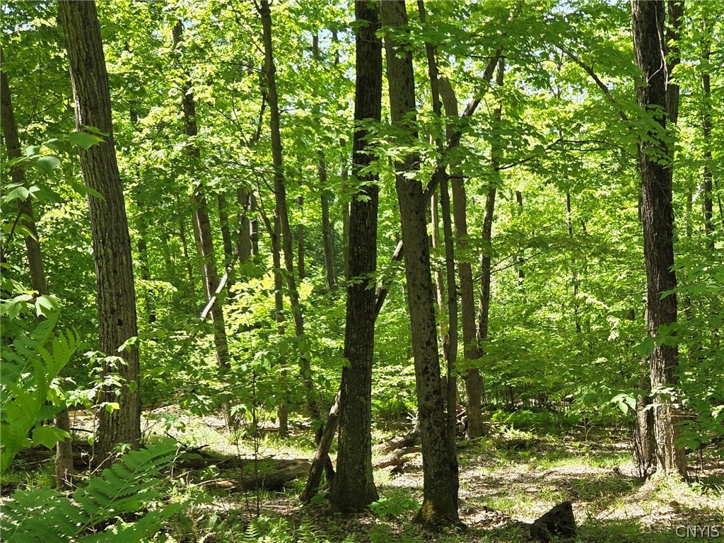 Lillibridge Road Olean, NY 14760 - Photo 17 of 48