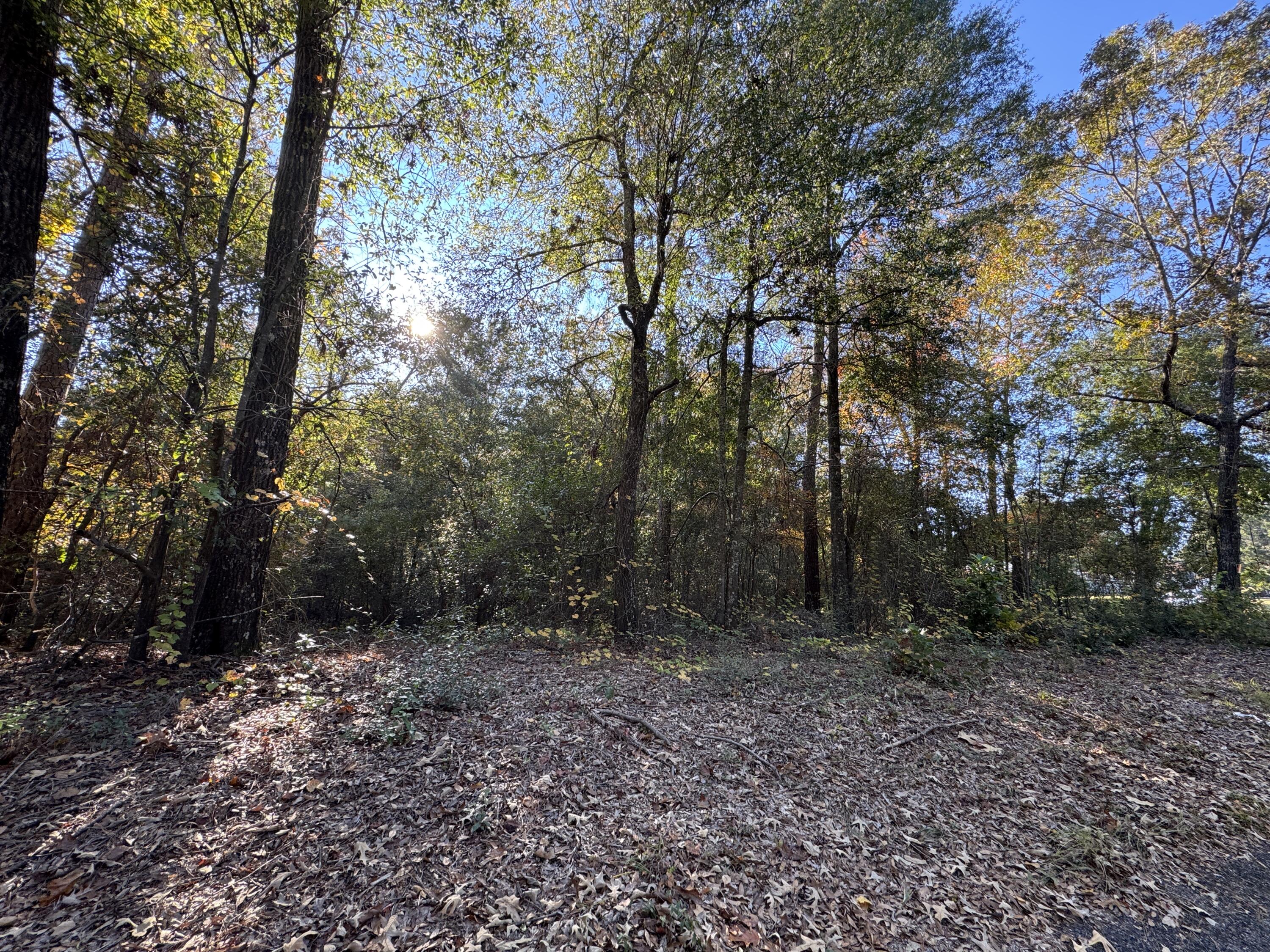Lot #1 Charles Street Jackson, SC 29831 - Photo 2 of 12