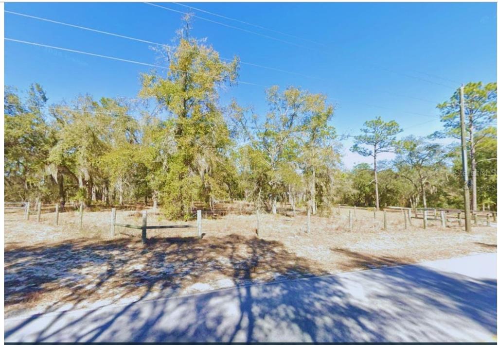 a view of a yard with trees