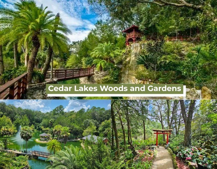 Northeast 88th Street Bronson, FL 32621 - Photo 13 of 30