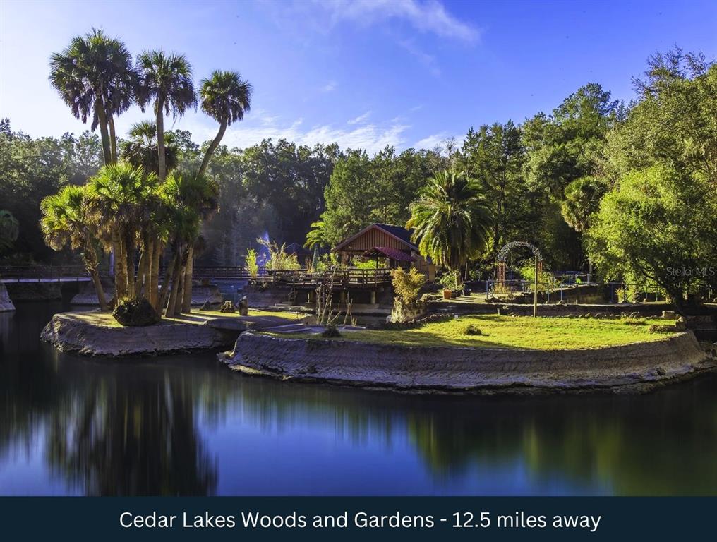 Northeast 88th Street Bronson, FL 32621 - Photo 17 of 30