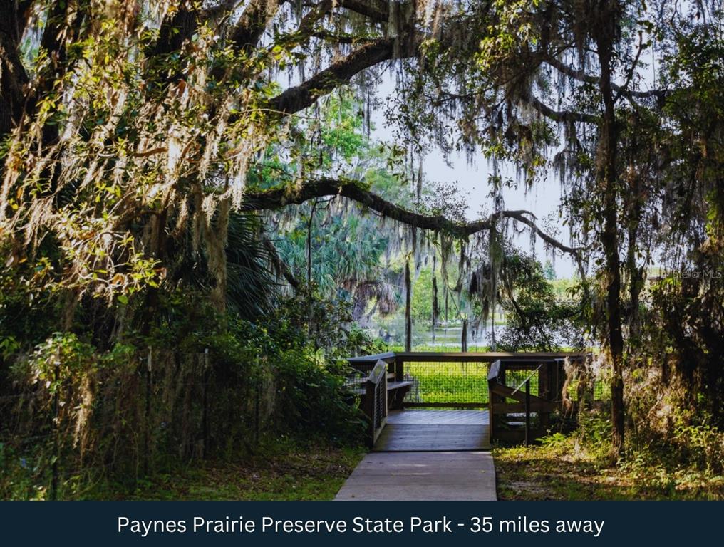 Northeast 88th Street Bronson, FL 32621 - Photo 23 of 30