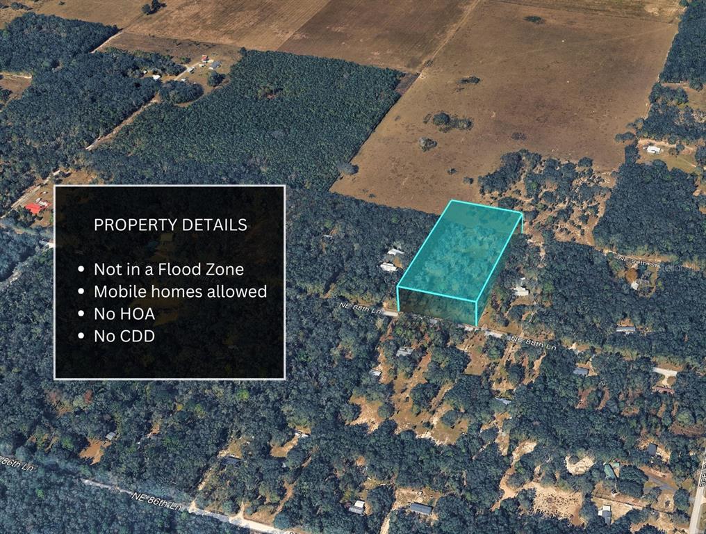 Northeast 88th Street Bronson, FL 32621 - Photo 4 of 30