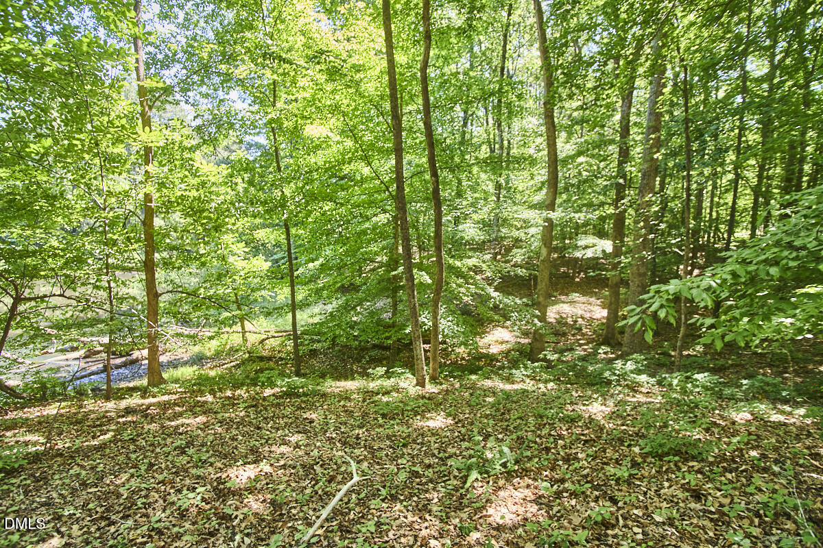 4204 Kerley Road Durham, NC 27705 - Photo 22 of 34 a view of a yard