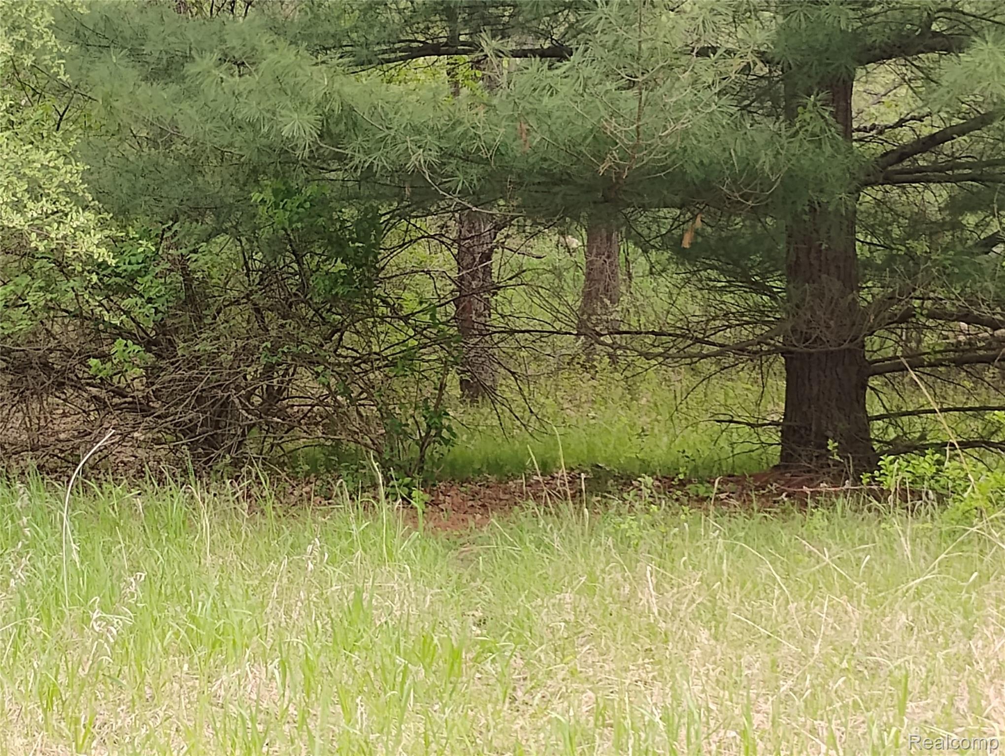 -middle Parcel D Middle Parcel D Middle Road Highland, MI 48357 - Photo 5 of 9 Parcel D photo 2.jpg