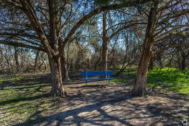 a view of a park with large trees