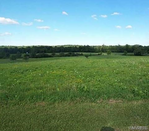 0 Francis Road East Bethany, NY 14054 - Photo 1 of 1 Gallery Image 1