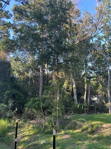 $147,000 | 13881 Park Avenue, Conroe, TX 77384