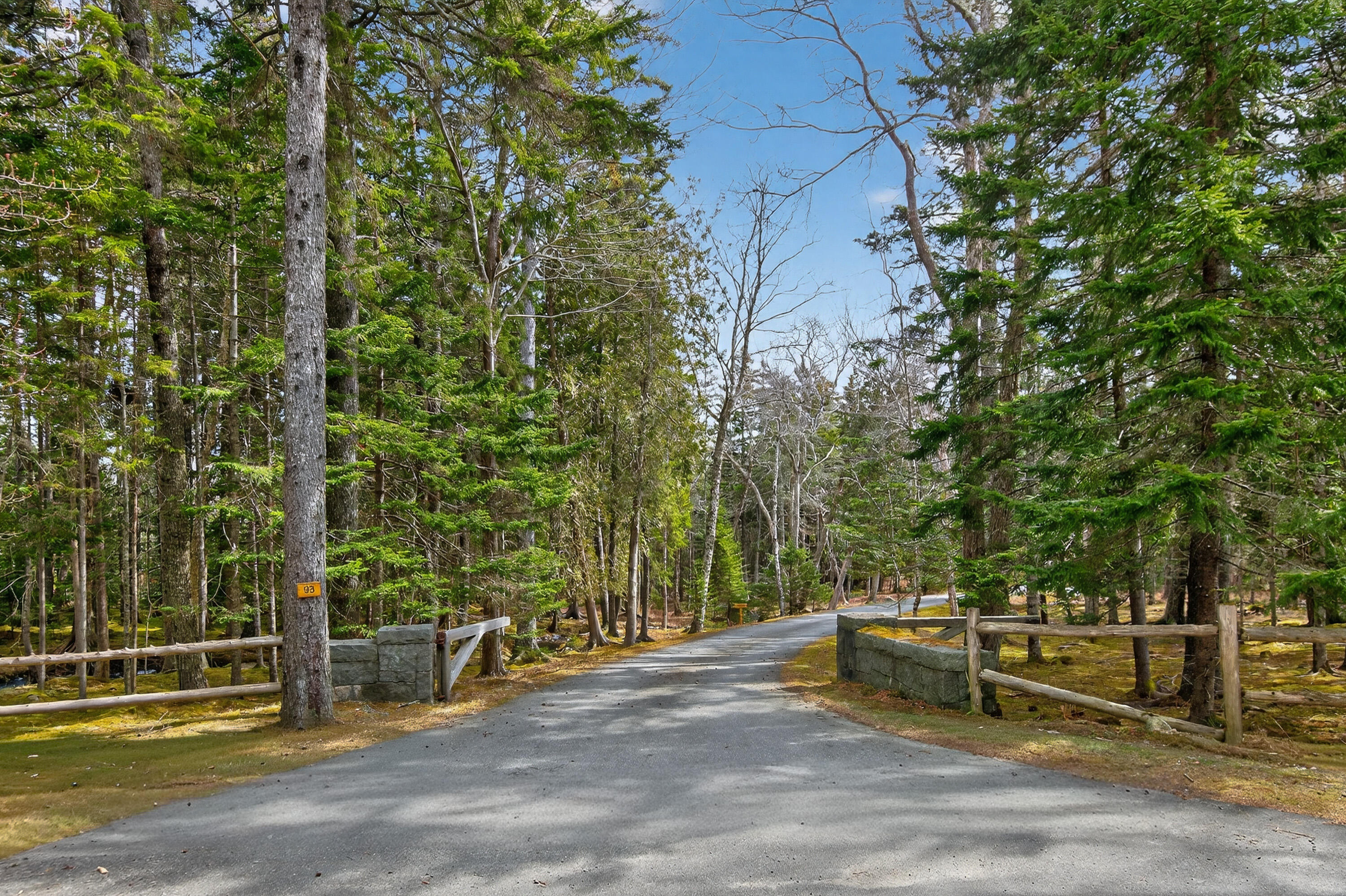93 Cooksey Drive Mount Desert, ME 04675 - Photo 7 of 50 026_93 Cooksey Dr_MorneauStudios_Print