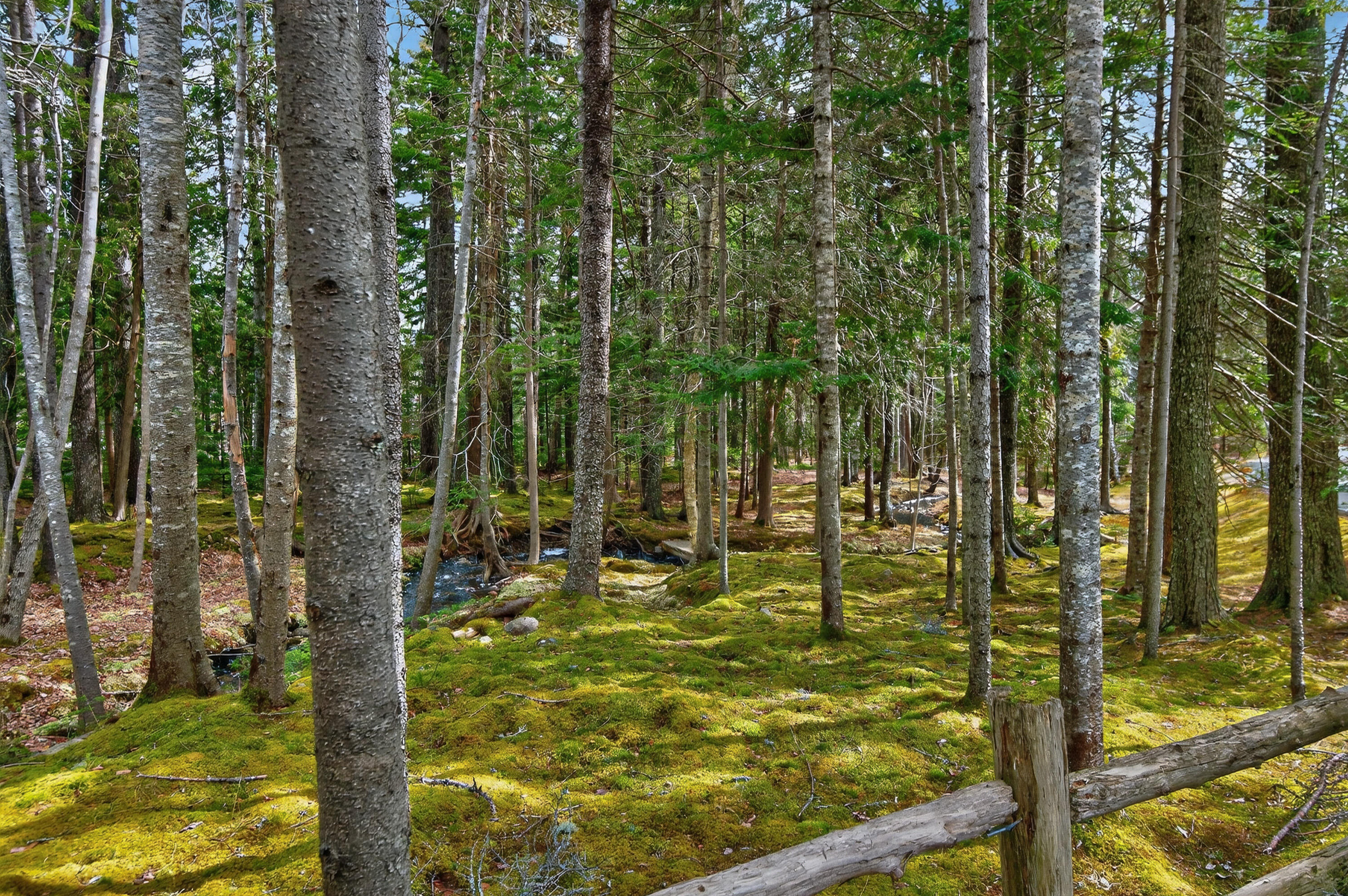 93 Cooksey Drive Mount Desert, ME 04675 - Photo 8 of 50 027_93 Cooksey Dr_MorneauStudios_Print