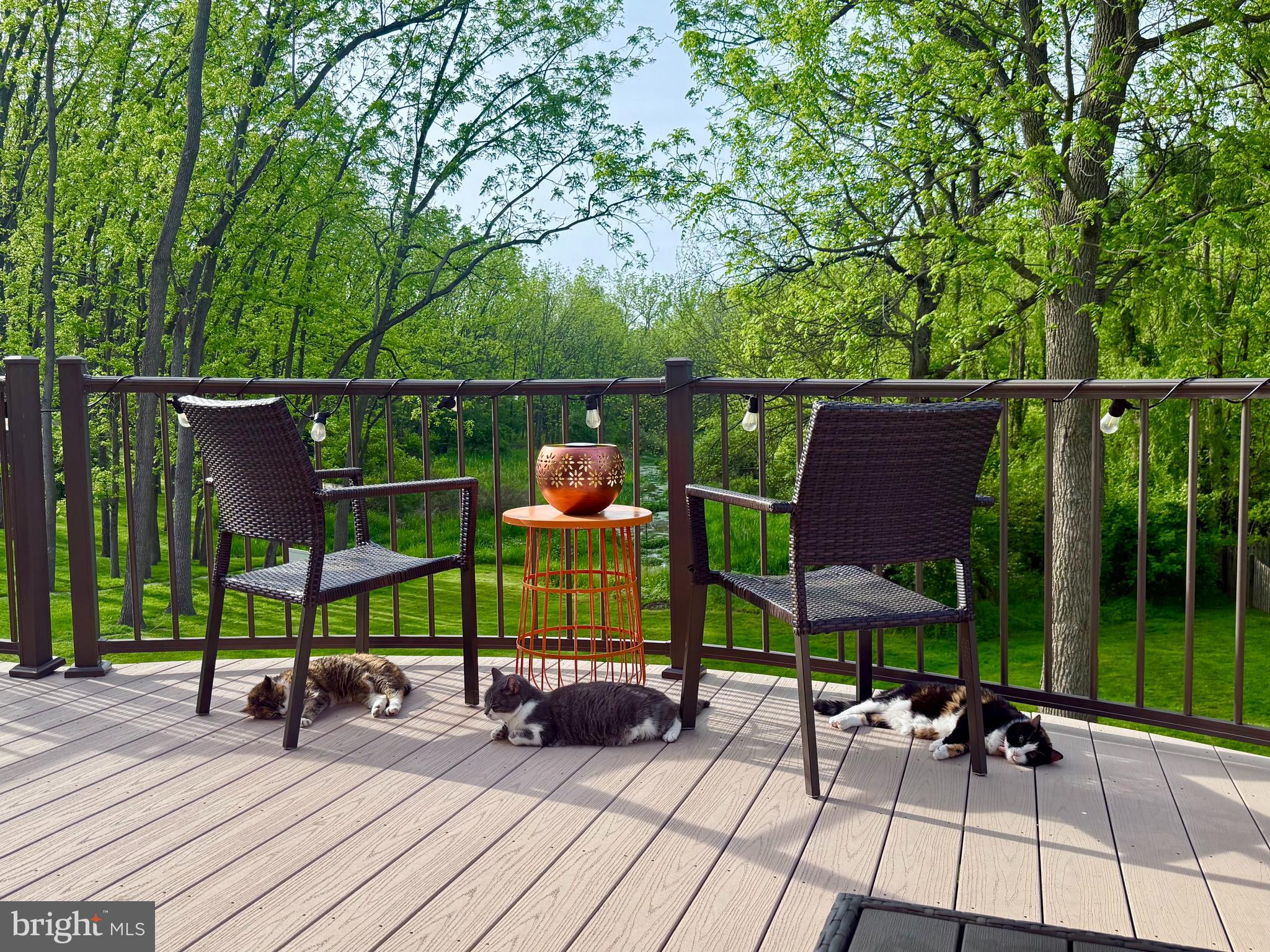 238 Heatherstone Way Lancaster, PA 17601 - Photo 138 of 141 Great house for cats (or dogs)