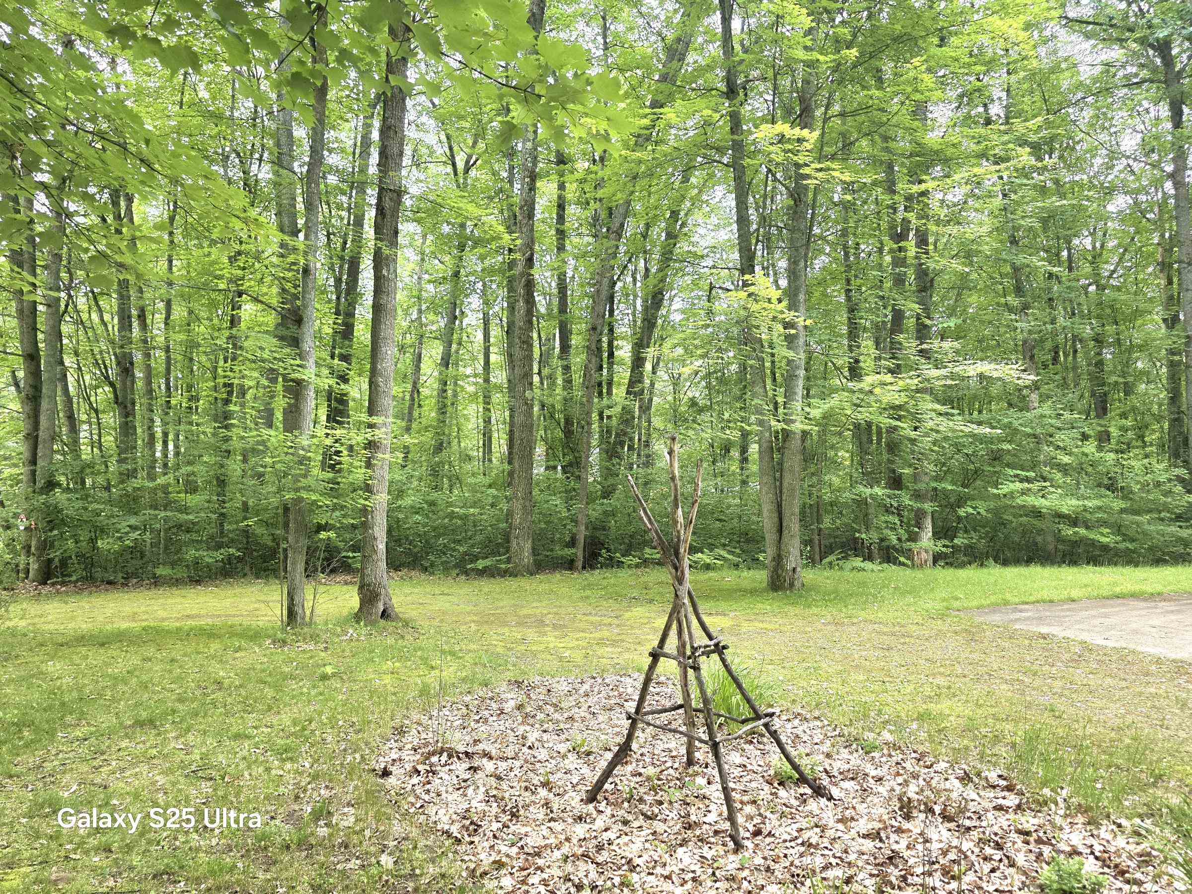 10135 Woods Road Gladwin, MI 48624 - Photo 7 of 54