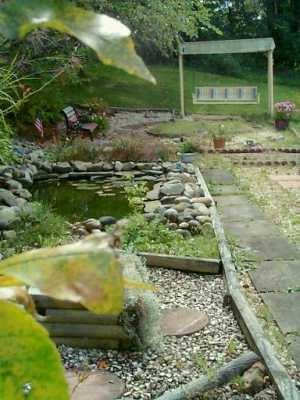376 Lefever Hill Road Cheswick, PA 15024 - Photo 5 of 8 Yard/Garden.