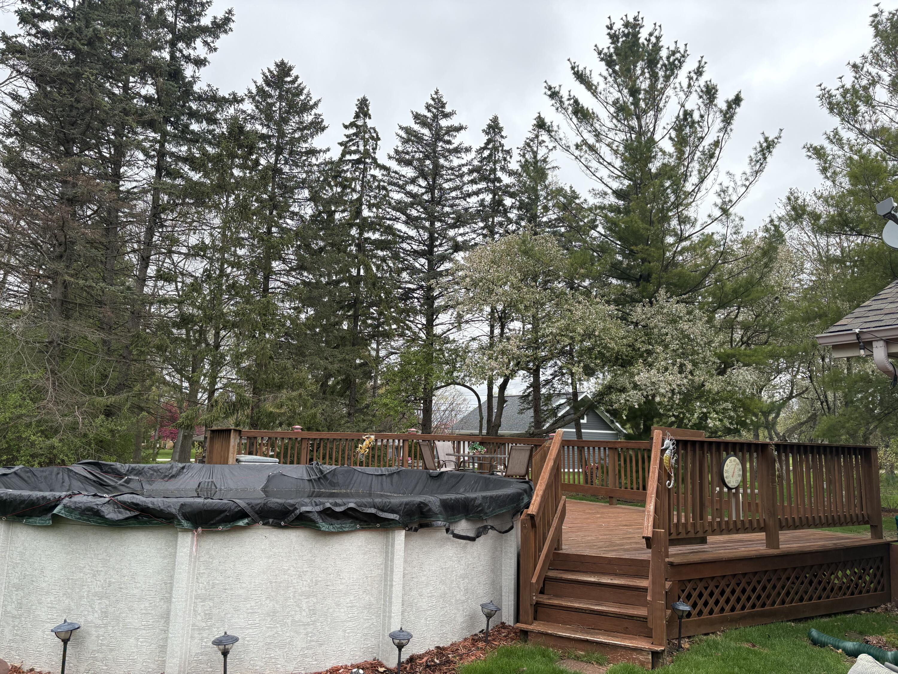 7369 South Hillendale Drive Franklin, WI 53132 - Photo 20 of 21 Pool
