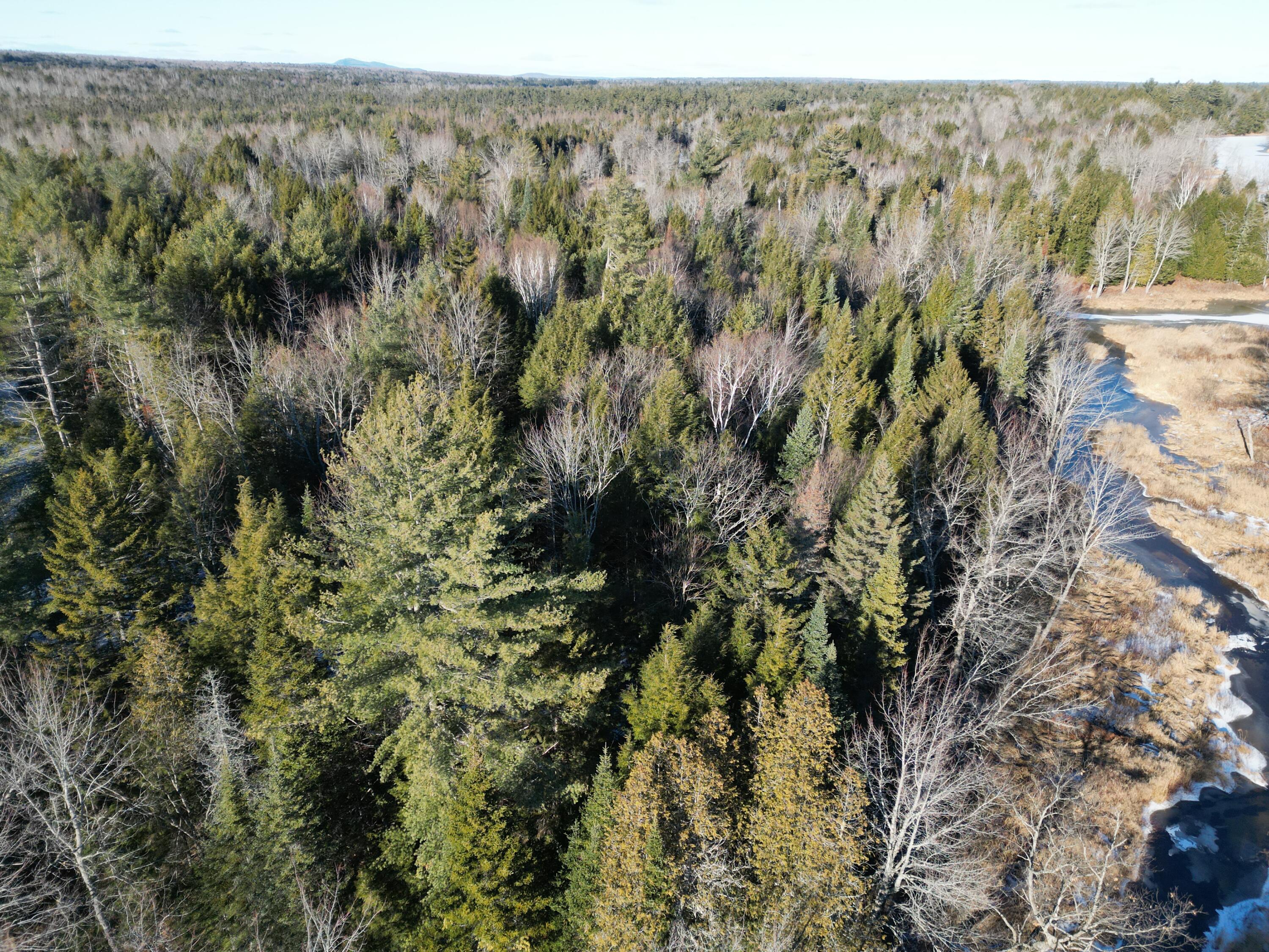 Lot 2 Fox Run Howland, ME 04448 - Photo 4 of 6 DJI_0100