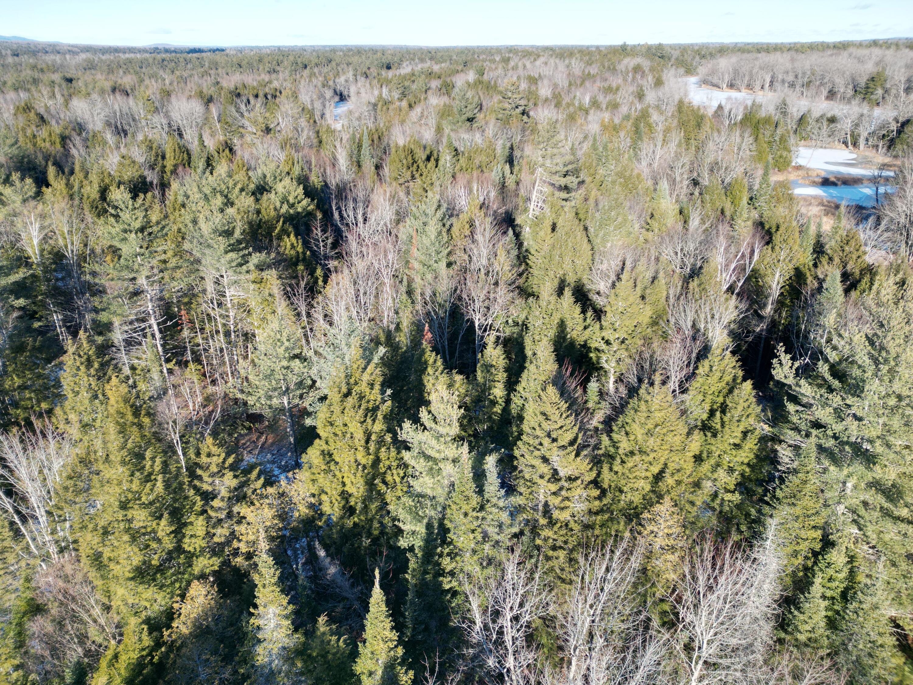 Lot 2 Fox Run Howland, ME 04448 - Photo 5 of 6 DJI_0099