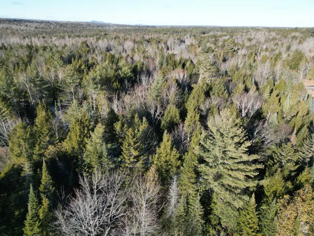 $39,000 | Lot 2 Fox Run, Howland, ME 04448
