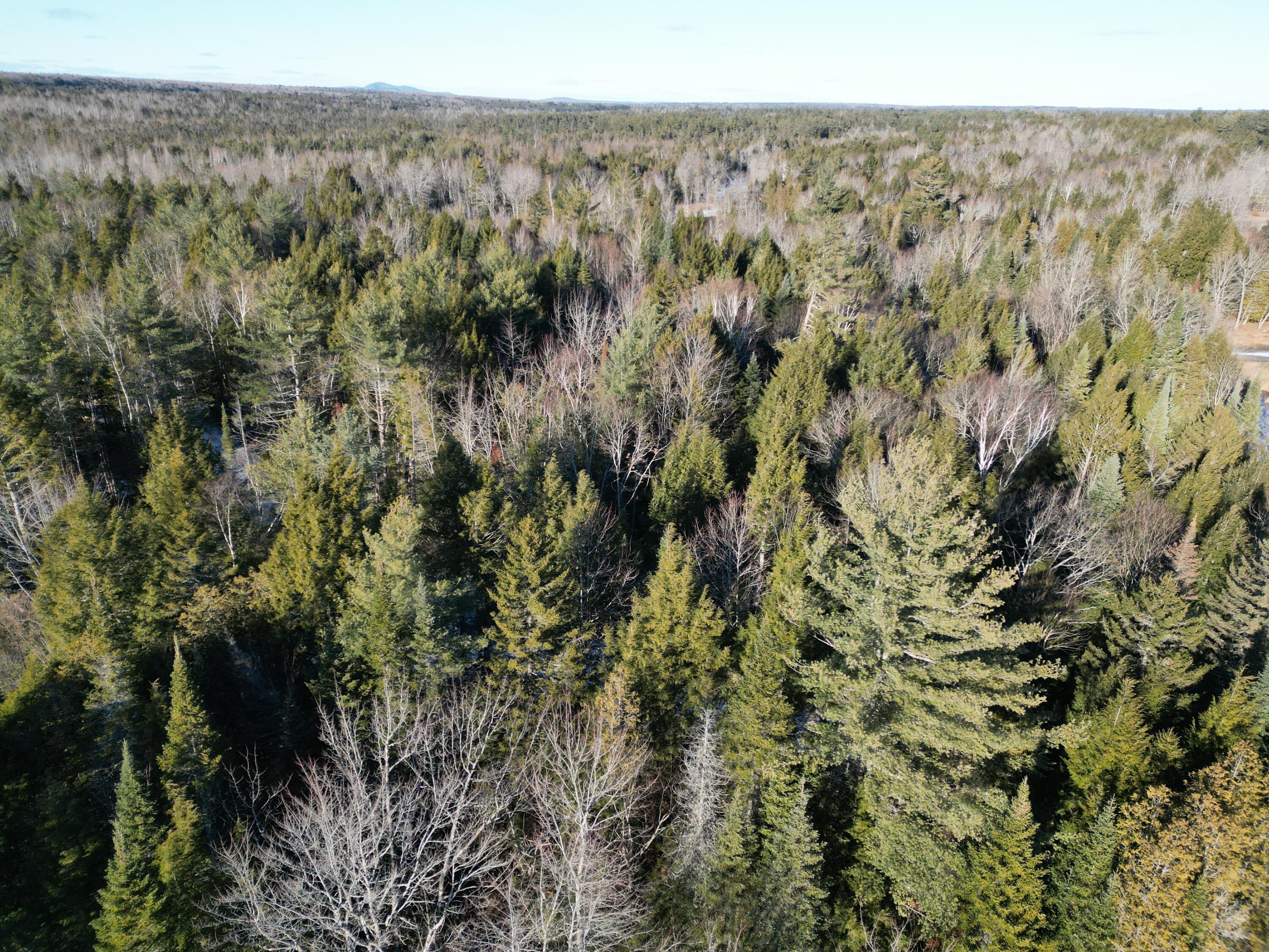 Lot 2 Fox Run Howland, ME 04448 - Photo 6 of 6 DJI_0101