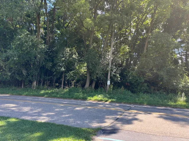 $19,999 | 30-40 Logan Street, Hillsdale, MI 49242