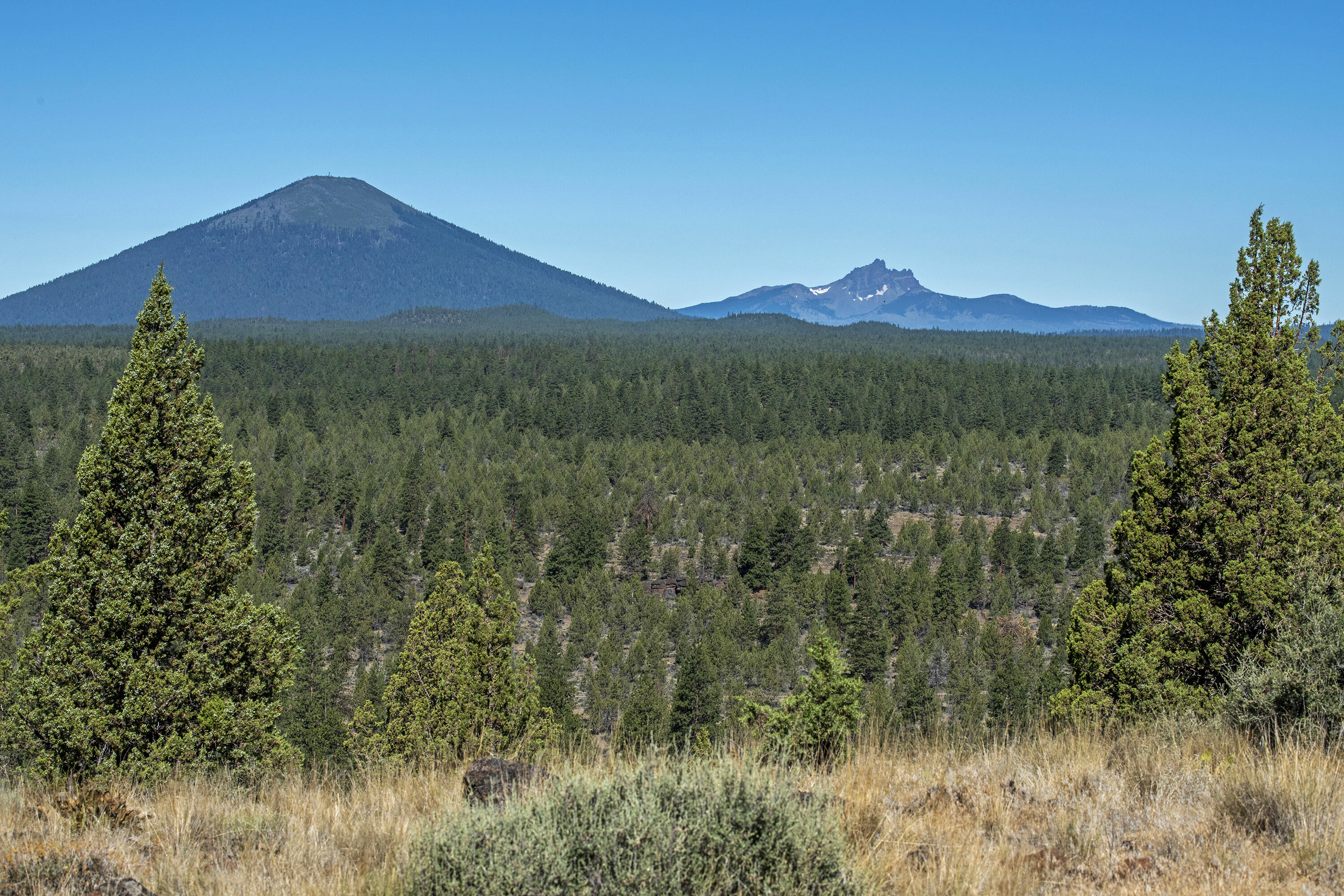 17990 Mountain View Road Sisters, OR 97759 - Photo 4 of 21 Black Butte & Three Fingered Jack