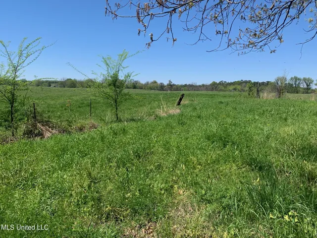 $245,000 | 9 Baldwin Road South, Hernando, MS 38632