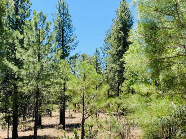 $54,900 | 5117 Starlight Drive, Happy Jack, AZ 86024