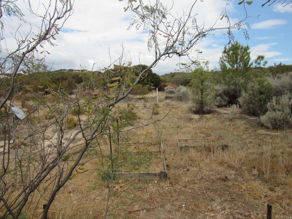 1819 Buckman Springs Road Campo, CA 91906 - Photo 4 of 16