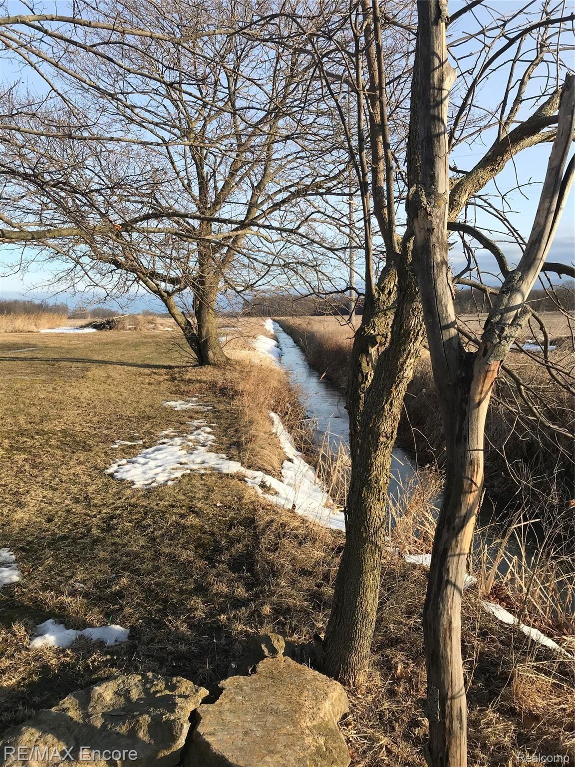 7352 Peet Road Chesaning, MI 48616 - Photo 5 of 50 Creek runs alongside property