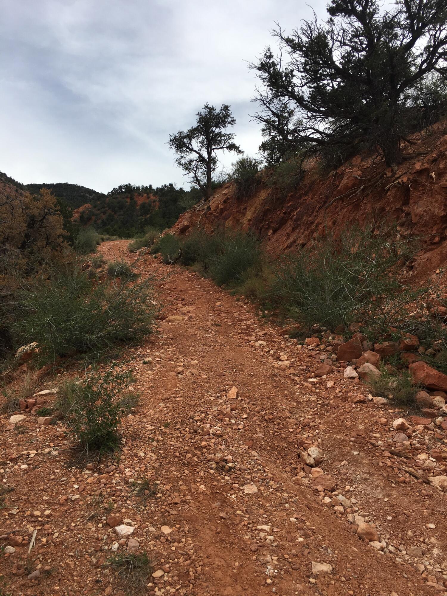 24.9-ac 24.9-ac In Red Canyon Parowan, UT 84761 - Photo 1 of 1 Land